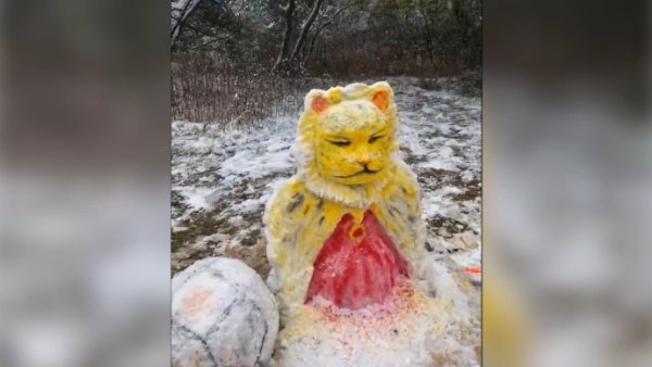 云南四人用时2小时堆出金钱豹雪人，他们是如何做到的？