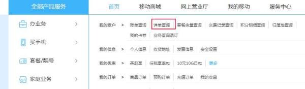河北移动网上营业厅怎么查询通话详单？