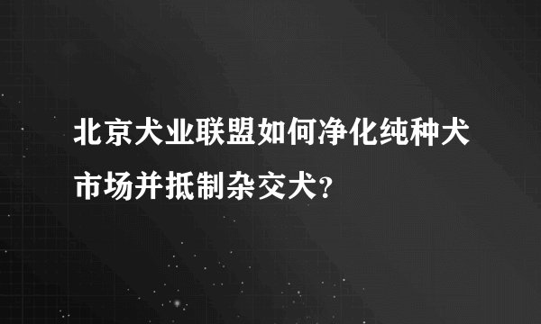 北京犬业联盟如何净化纯种犬市场并抵制杂交犬？