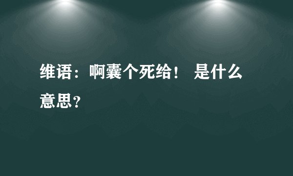 维语：啊囊个死给！ 是什么意思？