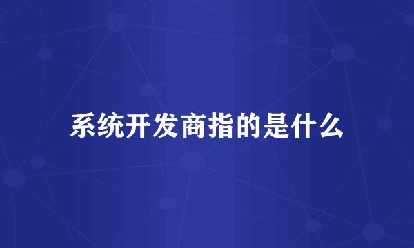 系统开发商指的是什么