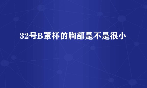 32号B罩杯的胸部是不是很小