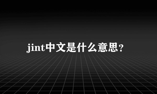 jint中文是什么意思？