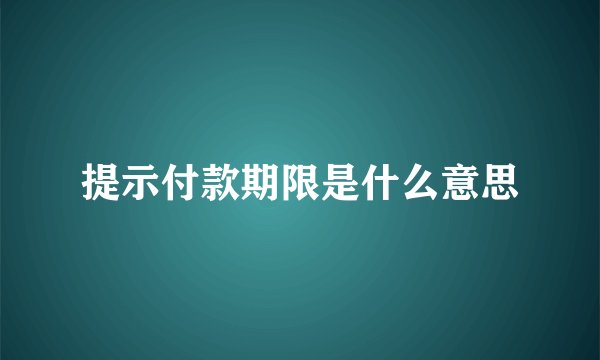 提示付款期限是什么意思