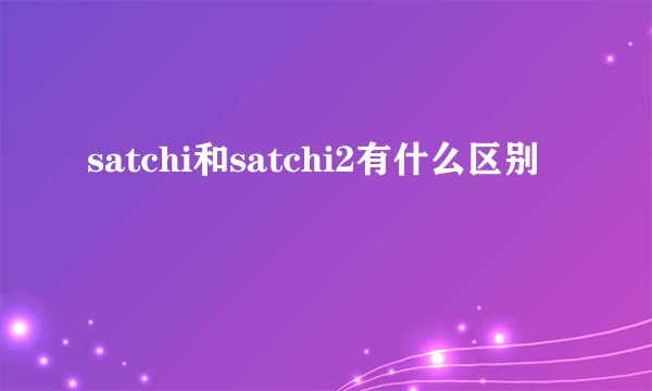 satchi和satchi2有什么区别