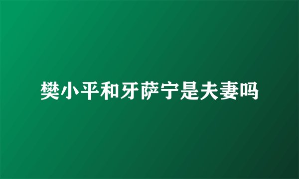 樊小平和牙萨宁是夫妻吗
