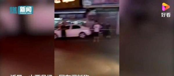 追尾车辆藏金钱豹 林业局:司机捡的 这是咋情况？
