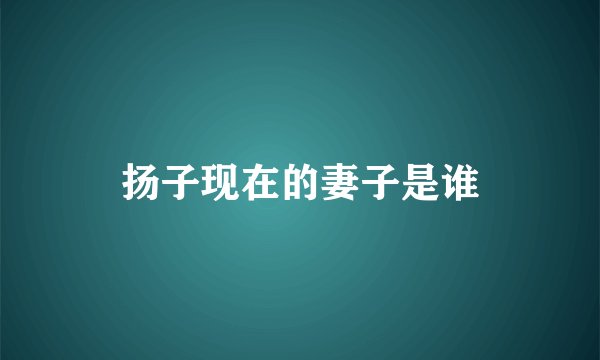 扬子现在的妻子是谁