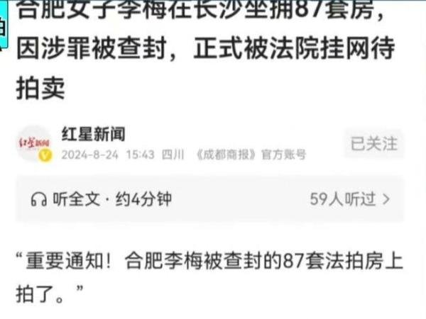 合肥女子在长沙87套法拍房全上拍了!为何有如此巨额财富?