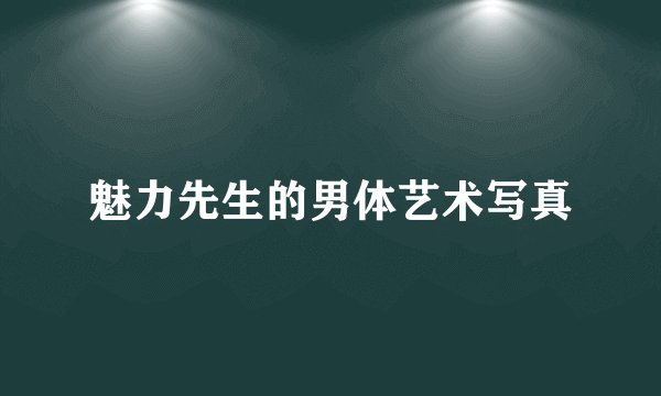 魅力先生的男体艺术写真