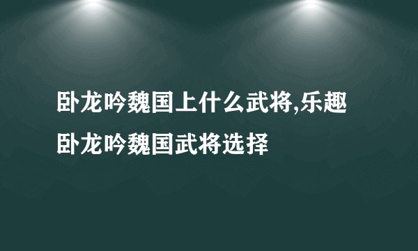 卧龙吟魏国上什么武将,乐趣卧龙吟魏国武将选择
