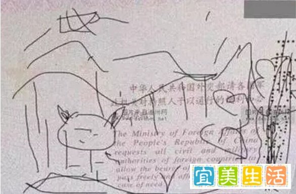 那些年被熊孩子毁过的护照(文后附解决方案)