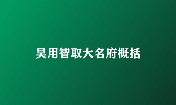 吴用智取大名府概括