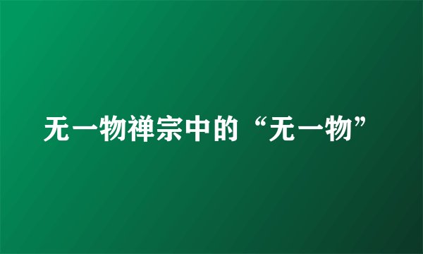 无一物禅宗中的“无一物”
