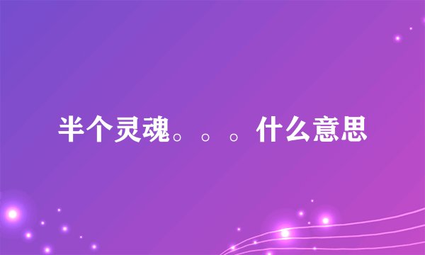 半个灵魂。。。什么意思