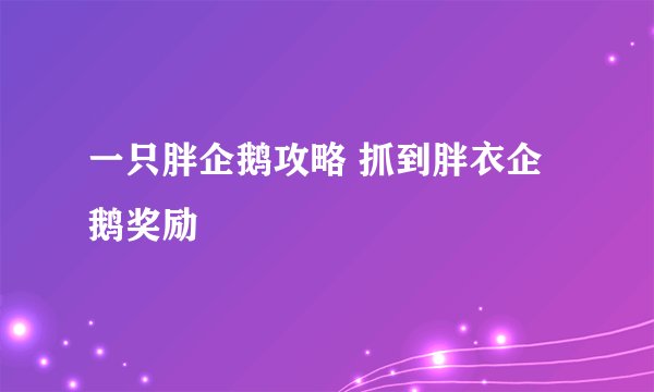 一只胖企鹅攻略 抓到胖衣企鹅奖励