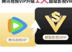 白金会员是svip吗