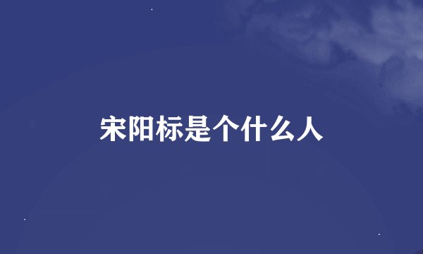 宋阳标是个什么人
