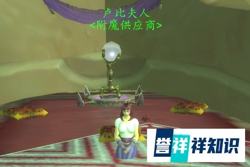 魔兽世界FM供应商卢比夫人在贫民窟的哪