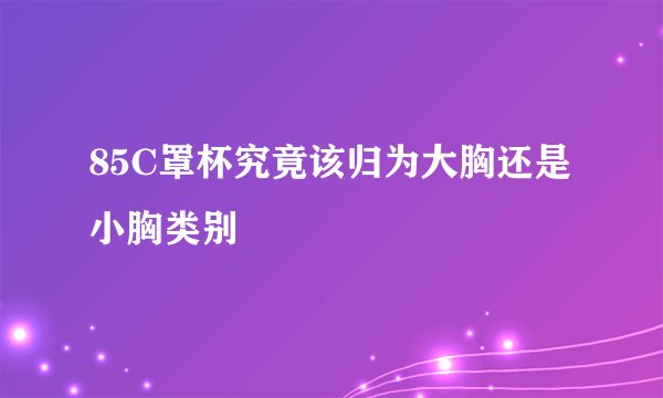 85C罩杯究竟该归为大胸还是小胸类别
