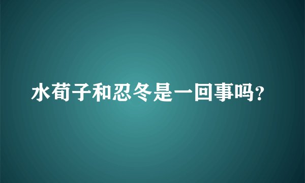 水荀子和忍冬是一回事吗？