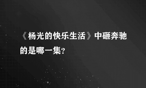 《杨光的快乐生活》中砸奔驰的是哪一集?