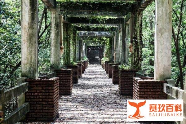 《你好》剧本杀复盘解析凶手是谁真相及电子剧本实体本