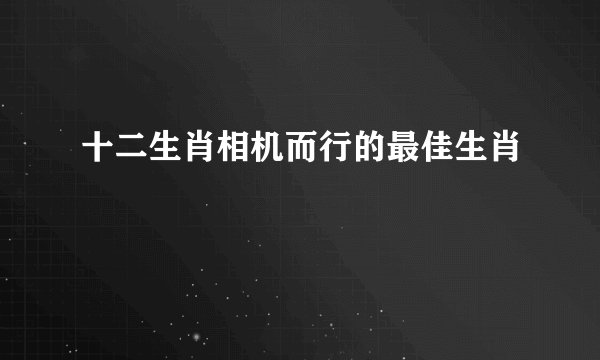 十二生肖相机而行的最佳生肖