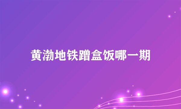 黄渤地铁蹭盒饭哪一期