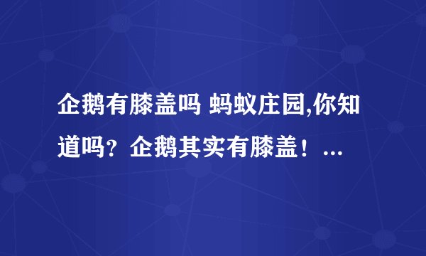企鹅有膝盖吗 蚂蚁庄园,你知道吗？企鹅其实有膝盖！——关于蚂蚁庄园的趣闻