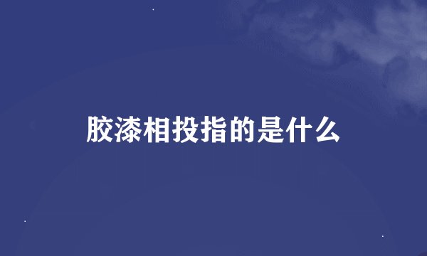 胶漆相投指的是什么