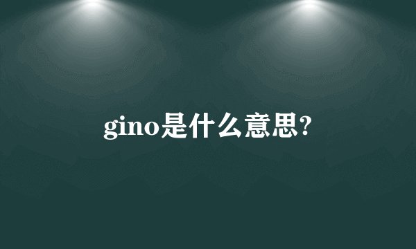 gino是什么意思?