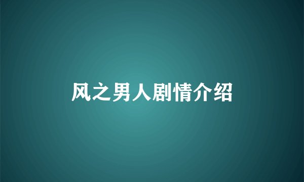 风之男人剧情介绍