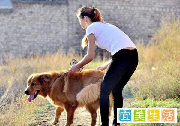 海澜之家靠铁山靠网红红了一把，股价竟冲击涨停，赚钱如此简单？