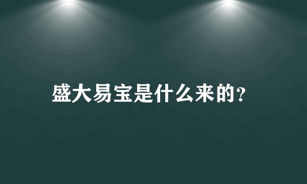盛大易宝是什么来的？