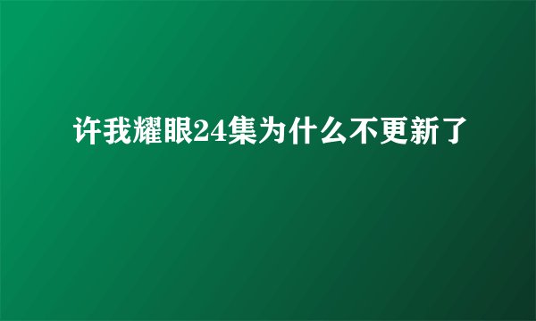 许我耀眼24集为什么不更新了
