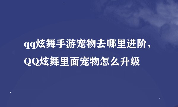 qq炫舞手游宠物去哪里进阶，QQ炫舞里面宠物怎么升级
