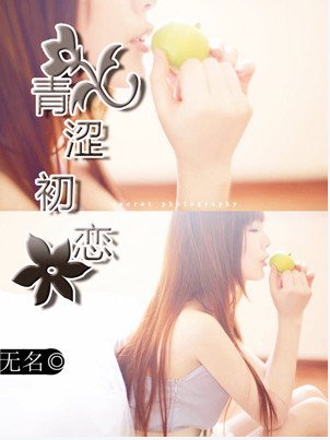 断天小说网的介绍