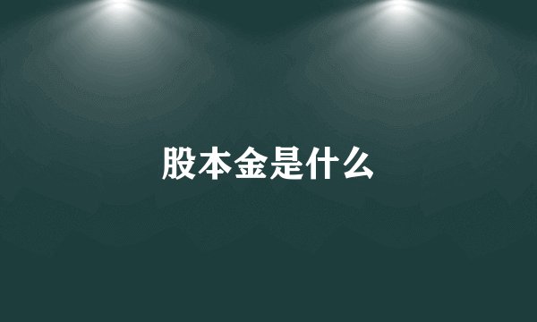 股本金是什么
