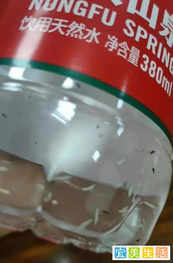 农夫山泉回应未开封瓶装水现蛆虫