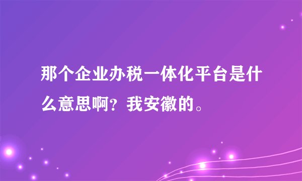 那个企业办税一体化平台是什么意思啊？我安徽的。