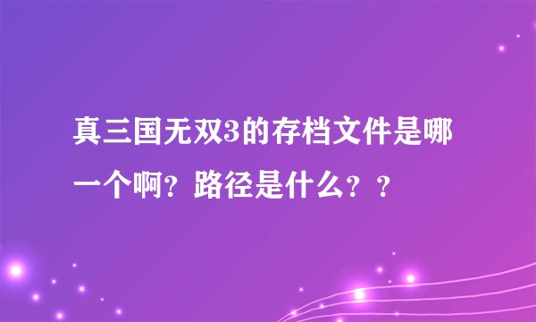 真三国无双3的存档文件是哪一个啊？路径是什么？？