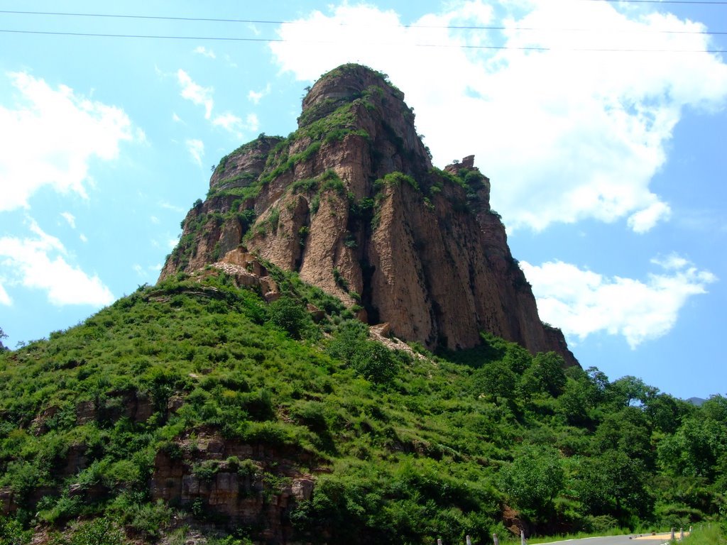 向山铁也的介绍