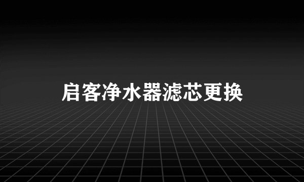 启客净水器滤芯更换
