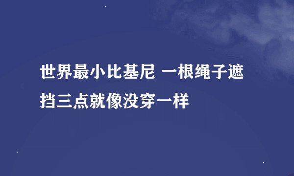 世界最小比基尼 一根绳子遮挡三点就像没穿一样