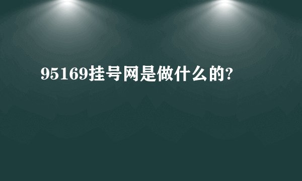 95169挂号网是做什么的?