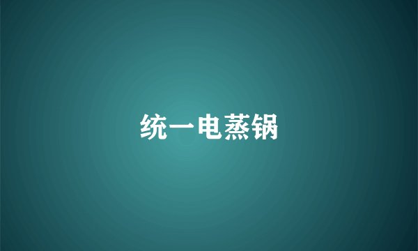 统一电蒸锅
