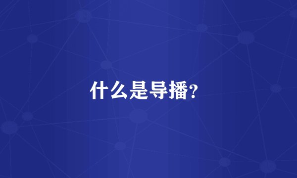 什么是导播？