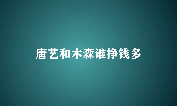 唐艺和木森谁挣钱多