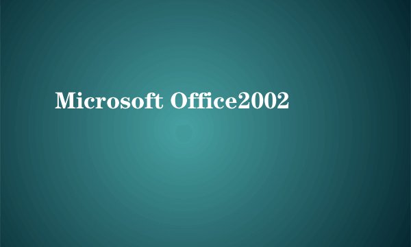 Microsoft Office2002